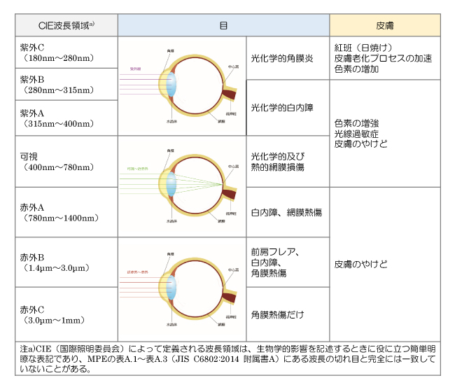 レーザー光の人体への影響